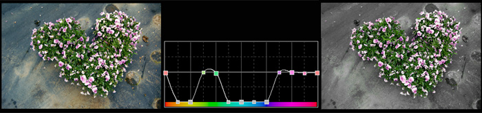 HSB Curve 02